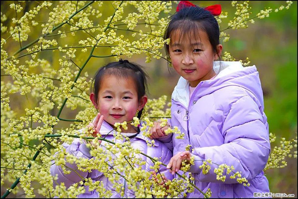 【春天，广西桂林灌阳县向您发出邀请！】米珠山前有片山苍子花在飘香 - 游山玩水 - 宝鸡生活社区 - 宝鸡28生活网 baoji.28life.net