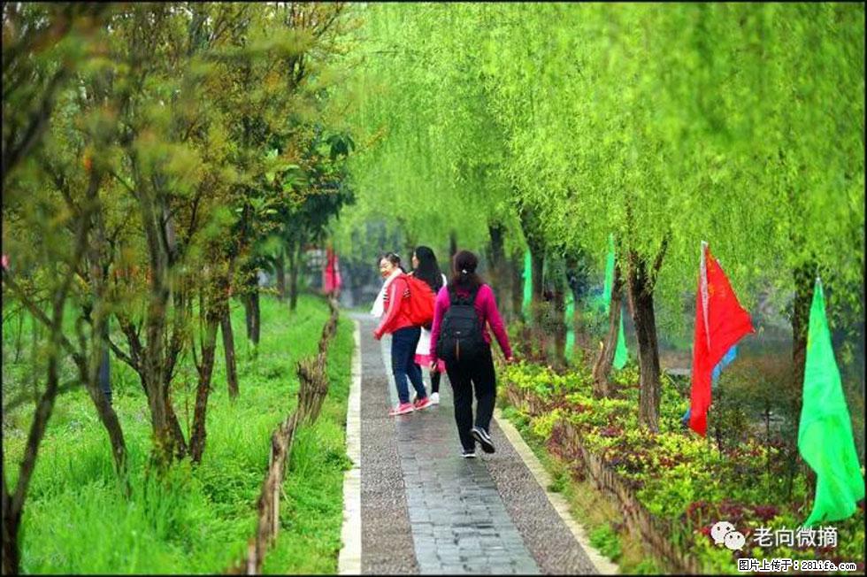 【春天，广西桂林灌阳县向您发出邀请！】江口老街又逢春 - 游山玩水 - 宝鸡生活社区 - 宝鸡28生活网 baoji.28life.net