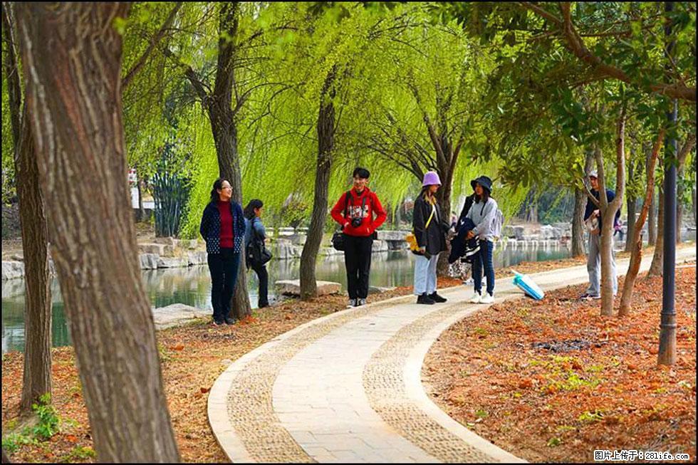 【春天，广西桂林灌阳县向您发出邀请！】江口老街又逢春 - 游山玩水 - 宝鸡生活社区 - 宝鸡28生活网 baoji.28life.net