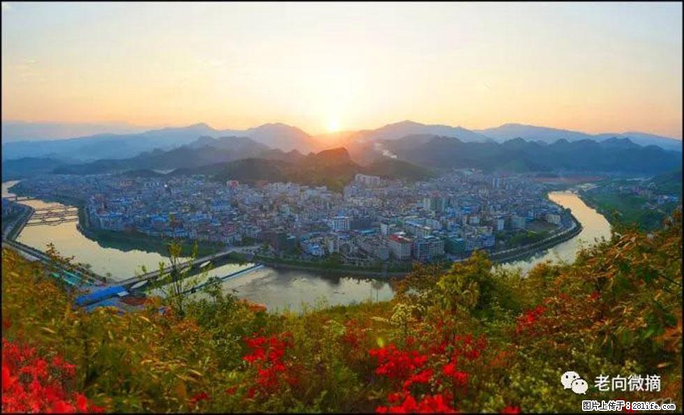 【春天，广西桂林灌阳县向您发出邀请！】登麒麟山，相约映山红 - 游山玩水 - 宝鸡生活社区 - 宝鸡28生活网 baoji.28life.net