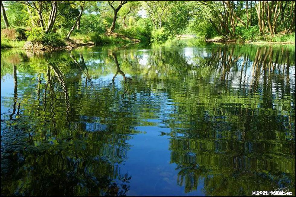 【春天，广西桂林灌阳县向您发出邀请！】熊家寨湿地公园 - 游山玩水 - 宝鸡生活社区 - 宝鸡28生活网 baoji.28life.net