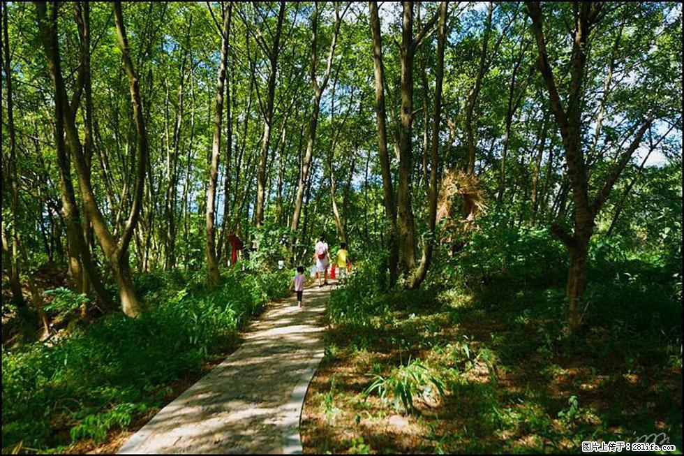 【春天，广西桂林灌阳县向您发出邀请！】熊家寨湿地公园 - 游山玩水 - 宝鸡生活社区 - 宝鸡28生活网 baoji.28life.net