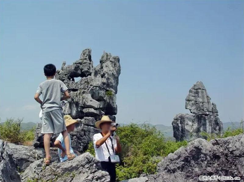 桂林旅游名城景点:灌阳文市石林 - 游山玩水 - 宝鸡生活社区 - 宝鸡28生活网 baoji.28life.net