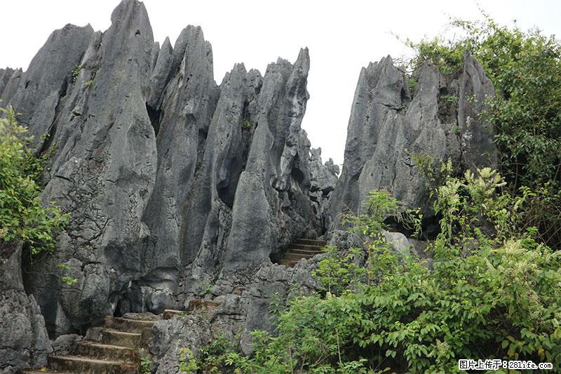 桂林旅游名城景点:灌阳文市石林 - 游山玩水 - 宝鸡生活社区 - 宝鸡28生活网 baoji.28life.net