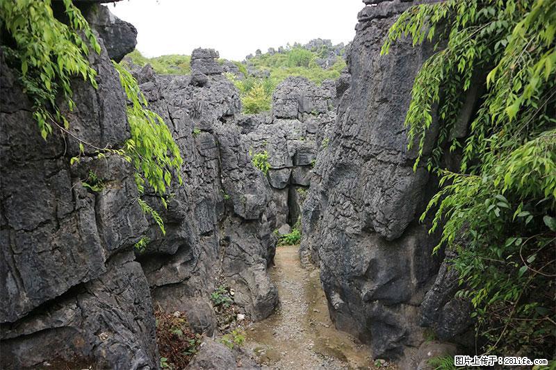 桂林旅游名城景点:灌阳文市石林 - 游山玩水 - 宝鸡生活社区 - 宝鸡28生活网 baoji.28life.net