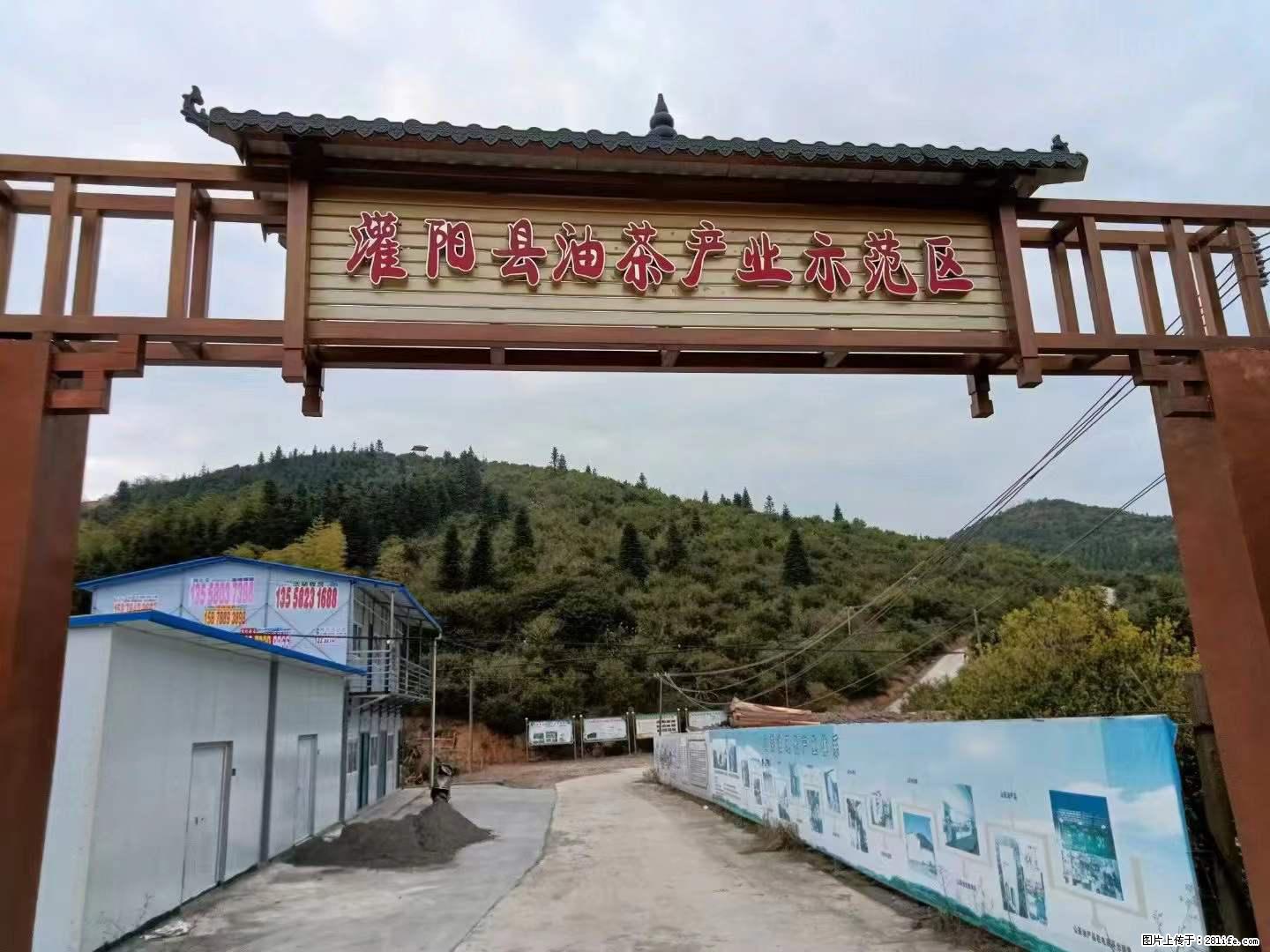 【灌阳县油茶产业示范区】一个有着充实的精神生活的人，对待身外之物自会有一种淡泊的态度 - 土特产 - 饮食特产 - 宝鸡分类信息 - 宝鸡28生活网 baoji.28life.net