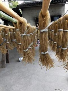 【灌阳正宗红薯粉】美女家里自己做的，干净卫生，假一赔十，价格合理，抢购电话：13737312895 - 宝鸡28生活网 baoji.28life.net