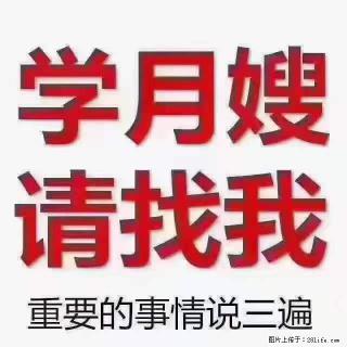 为什么要学习月嫂，育婴师？ - 宝鸡28生活网 baoji.28life.net