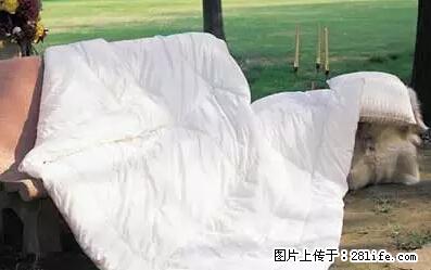 被子有异味？只要这样做，比晒太阳还强100倍！ - 家居生活 - 宝鸡生活社区 - 宝鸡28生活网 baoji.28life.net