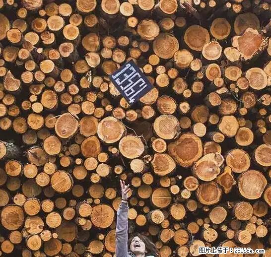 辞掉工作周游世界？现在他们在洗厕所…… - 游山玩水 - 宝鸡生活社区 - 宝鸡28生活网 baoji.28life.net