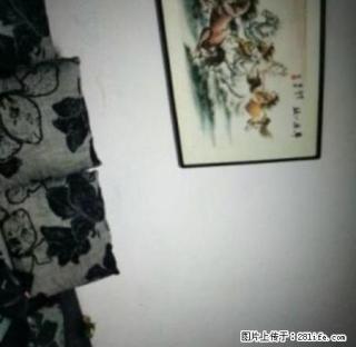 出租 精装联盟花园 2室 家具家电齐全 拎包入住 - 宝鸡28生活网 baoji.28life.net