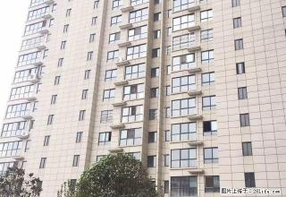 新房首租，婚房，汉中路高层精装双气带家具2室2厅1280元 - 宝鸡28生活网 baoji.28life.net