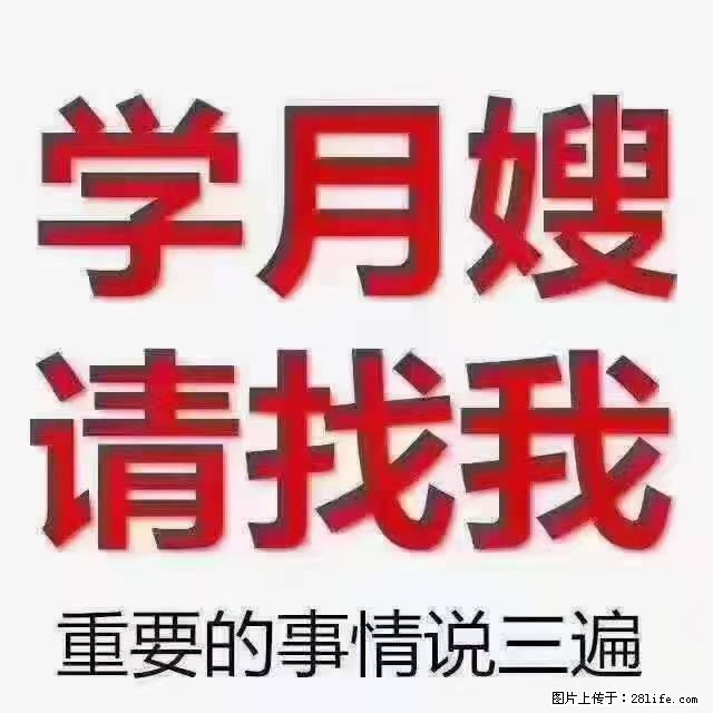 【招聘】月嫂，上海徐汇区 - 职场交流 - 宝鸡生活社区 - 宝鸡28生活网 baoji.28life.net