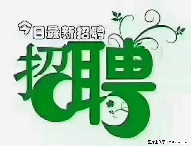 上海青浦区招仓管 - 职场交流 - 宝鸡生活社区 - 宝鸡28生活网 baoji.28life.net