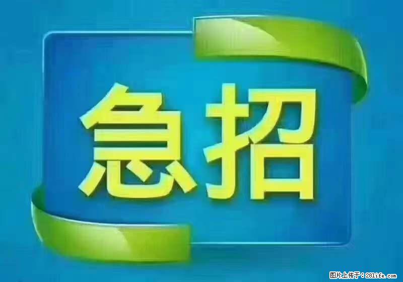 招出纳8000元/月，无证可以，要有相关经验，上海五险一金，包住，包工作餐，做六休一。 - 职场交流 - 宝鸡生活社区 - 宝鸡28生活网 baoji.28life.net