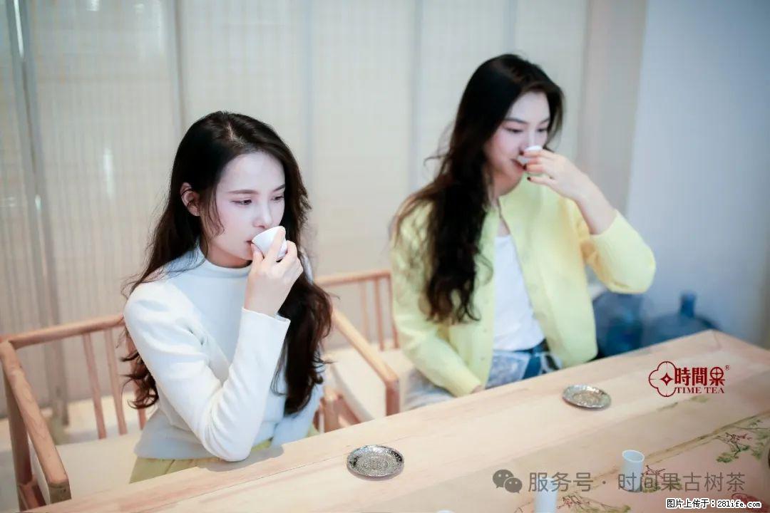 时间果百年古树龙珠普洱生茶 - 购物交流 - 宝鸡生活社区 - 宝鸡28生活网 baoji.28life.net