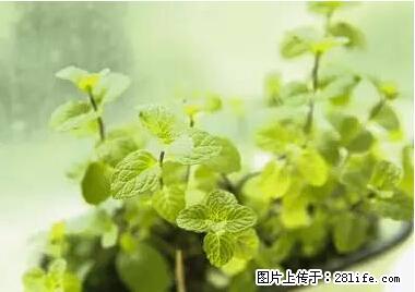 晕车、脚气、牙齿变黄、皮肤粗糙？学会这些三分钟搞定！ - 宝鸡生活资讯 - 宝鸡28生活网 baoji.28life.net