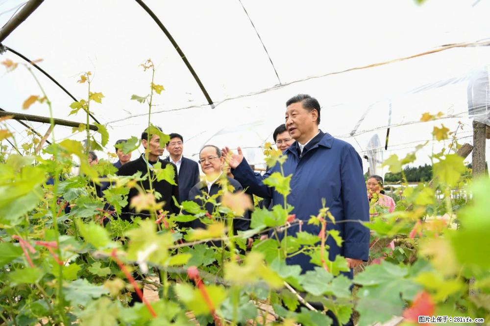 习近平赴广西考察调研 - 宝鸡生活资讯 - 宝鸡28生活网 baoji.28life.net