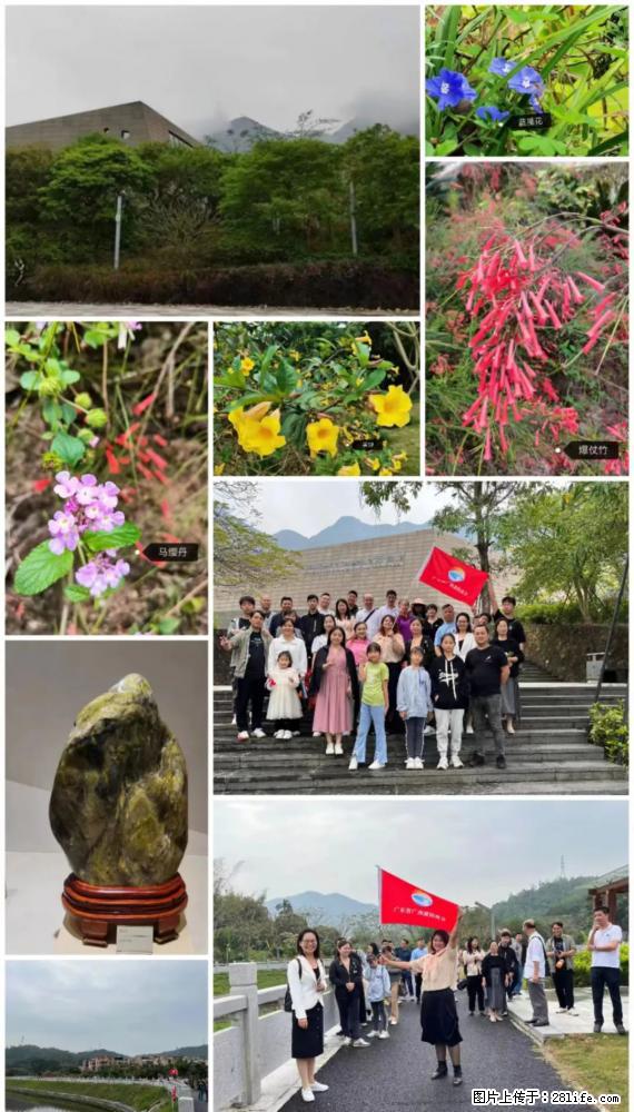 “粤灌文化 美好生活”油茶文化主题活动在广东深圳成功举办 - 宝鸡生活资讯 - 宝鸡28生活网 baoji.28life.net