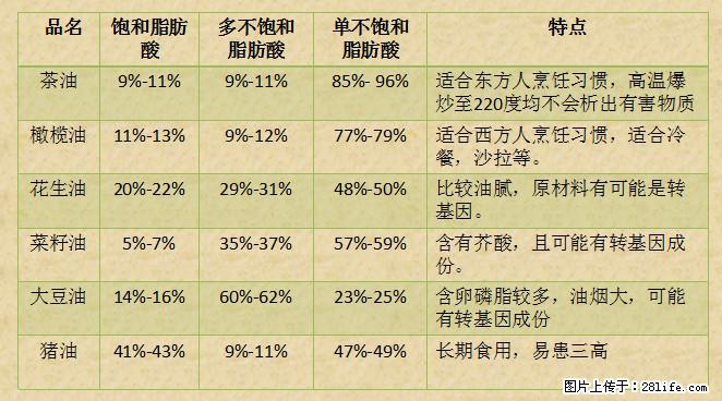 揭秘茶油的5大核心营养成分！被称为人体健康的“守护盾”！ - 宝鸡生活资讯 - 宝鸡28生活网 baoji.28life.net