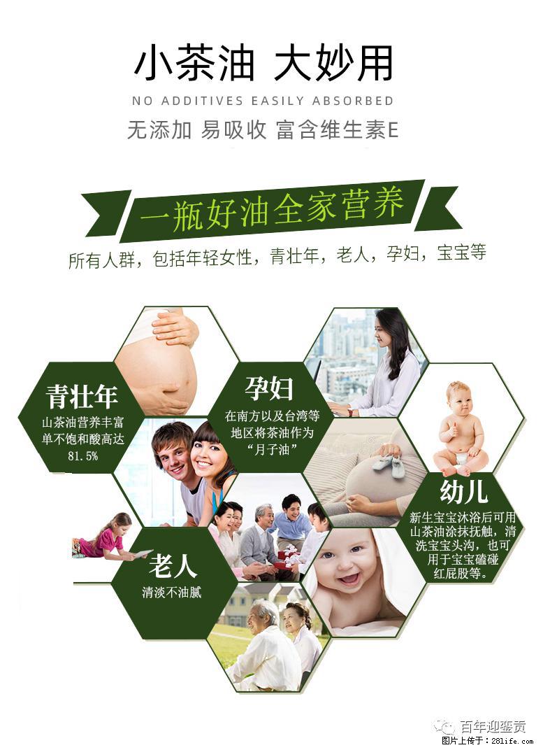 世界没有真相，只有认知，最好的食用油是中国的山茶油！ - 宝鸡生活资讯 - 宝鸡28生活网 baoji.28life.net
