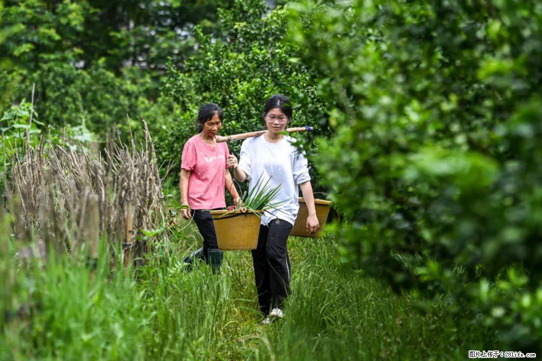 全网追的“扁担女孩”，找了一份暑假工，时薪12元 - 宝鸡生活资讯 - 宝鸡28生活网 baoji.28life.net