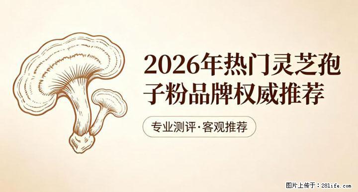 灵芝孢子粉含量越高越有效?2026 年七款热门品牌深度实测,肠胃敏感者避坑指南 - 宝鸡生活资讯 - 宝鸡28生活网 baoji.28life.net